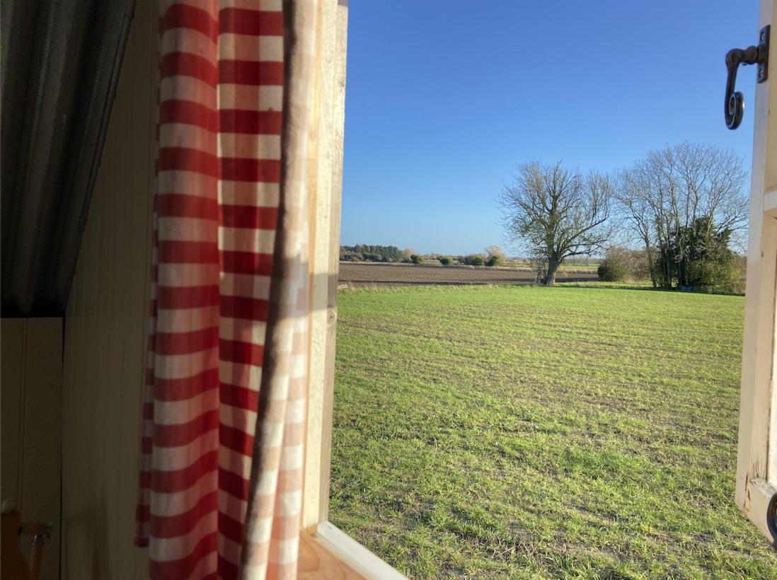 קאמברידג' Fen Meadows Glamping - Luxury Cabins And Bell Tents מראה חיצוני תמונה