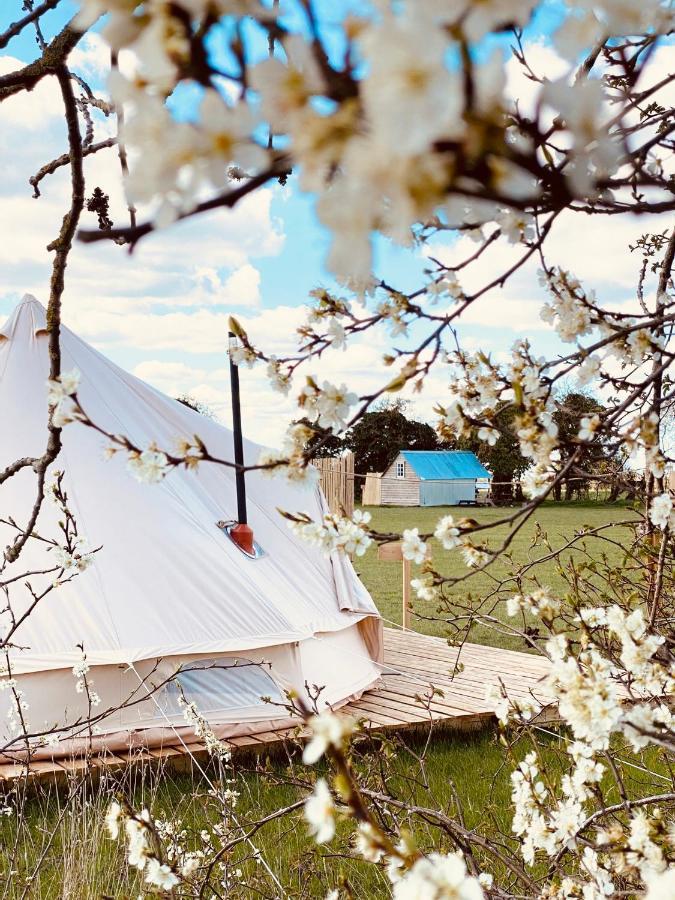 קאמברידג' Fen Meadows Glamping - Luxury Cabins And Bell Tents מראה חיצוני תמונה