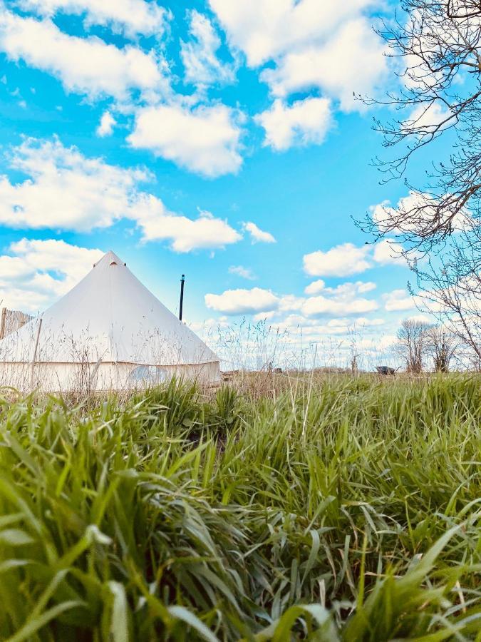 קאמברידג' Fen Meadows Glamping - Luxury Cabins And Bell Tents מראה חיצוני תמונה